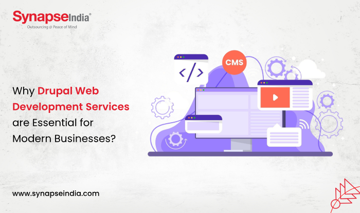 Why Drupal Web Development Services are Essential for Modern Businesses?